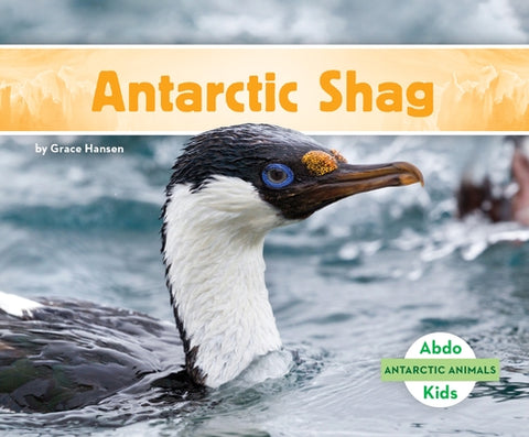 Antarctic Shag by Hansen, Grace