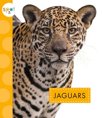 Jaguars by Thielges, Alissa