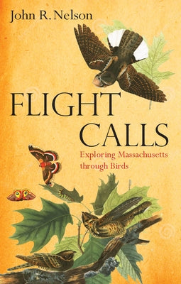 Flight Calls: Exploring Massachusetts Through Birds by Nelson, John