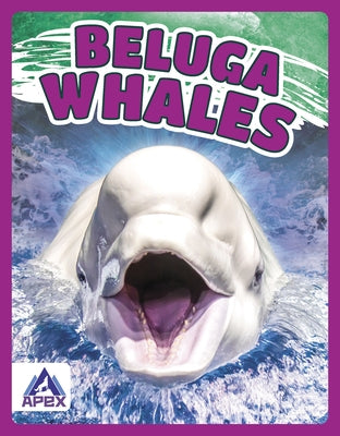 Beluga Whales by Lim, Angela