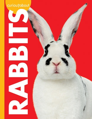 Curious about Rabbits by Sherman, Jill