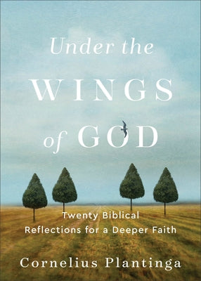 Under the Wings of God: Twenty Biblical Reflections for a Deeper Faith by Plantinga, Cornelius