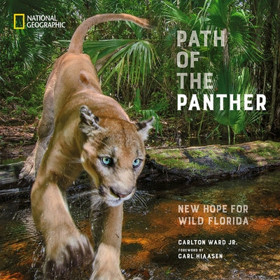 Path of the Panther: New Hope for Wild Florida by Ward, Carlton