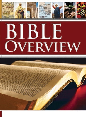 Book: Bible Overview - Hardcover by Rose Publishing