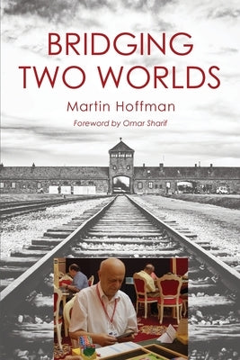 Bridging Two Worlds by Hoffman, Martin