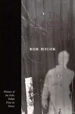 The Legend of Light by Hicok, Bob