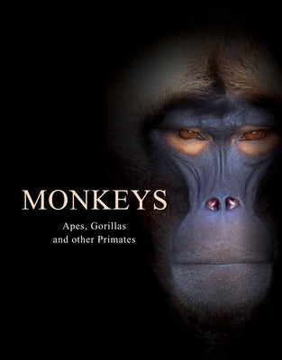 Monkeys: Apes, Gorillas and Other Primates by Jackson, Tom