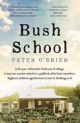 Bush School by 
