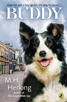 Buddy by Herlong, M. H.