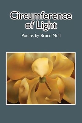 Circumference of Light by Noll, Bruce