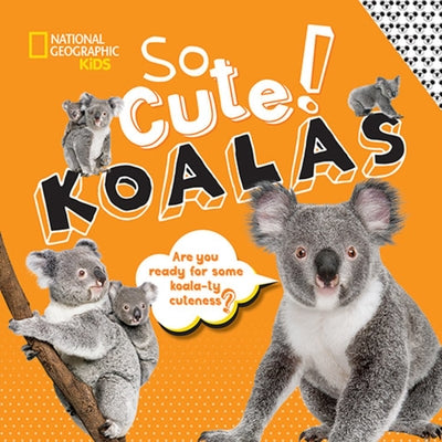 So Cute!: Koalas by Boyer, Crispin