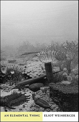 An Elemental Thing by Weinberger, Eliot