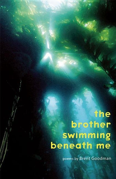 The Brother Swimming Beneath Me by Goodman, Brent