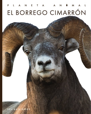 El Borrego Cimarrón by Bodden, Valerie