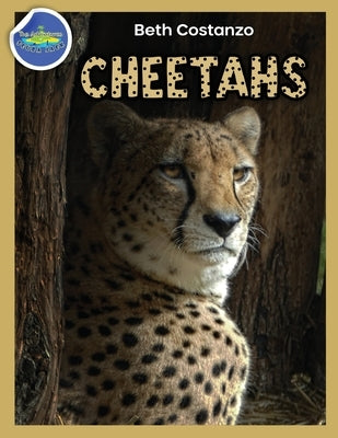 Cheetah Activity Workbook ages 4-8 by Costanzo, Beth
