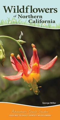 Wildflowers of Northern California: Your Way to Easily Identify Wildflowers by Miller, George