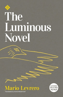 The Luminous Novel by Levrero, Mario