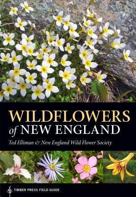 Wildflowers of New England by Elliman, Ted