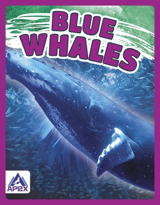 Blue Whales by Chanez, Katie