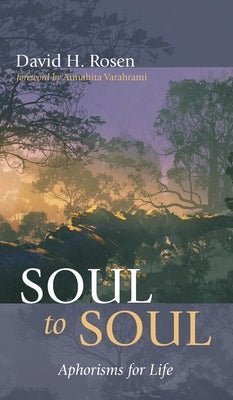 Soul to Soul by Rosen, David H.