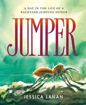 Jumper: A Day in the Life of a Backyard Jumping Spider by Lanan, Jessica