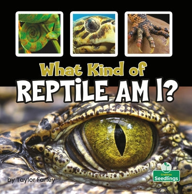 What Kind of Reptile Am I? by Farley, Taylor
