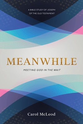 Meanwhile: Meeting God in the Wait by McCleod, Carol