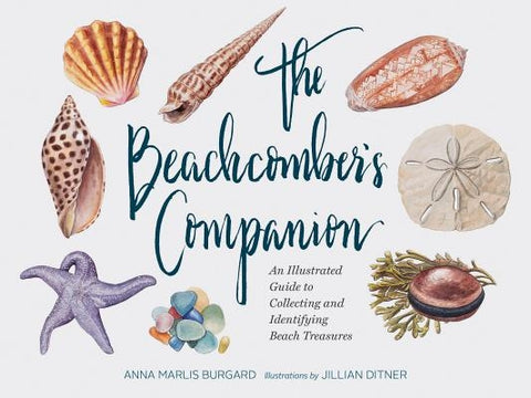 The Beachcomber's Companion: An Illustrated Guide to Collecting and Identifying Beach Treasures (Watercolor Seashell and Shell Collecting Book, Bea by Burgard, Anna Marlis