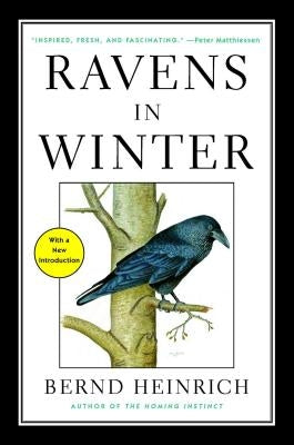 Ravens in Winter by Heinrich, Bernd