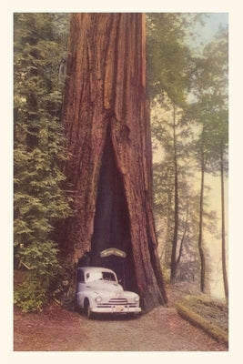 Vintage Journal Redwood and Old Car by Found Image Press