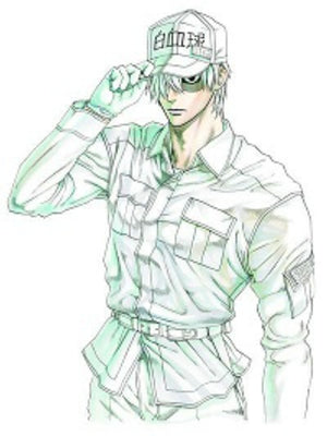 Cells at Work! 6 by Shimizu, Akane