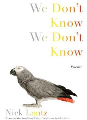 We Don't Know We Don't Know by Lantz, Nick