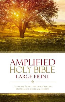 Amplified Bible-Am-Large Print: Captures the Full Meaning Behind the Original Greek and Hebrew by Zondervan