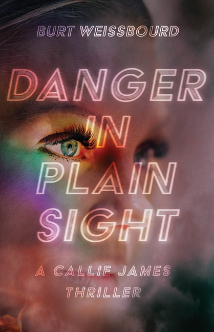 Danger in Plain Sight by Weissbourd, Burt