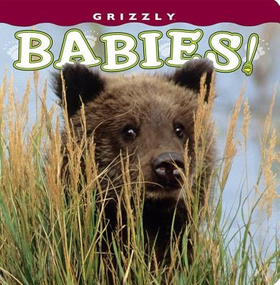 Grizzly Babies! by Holdsworth, Henry H.