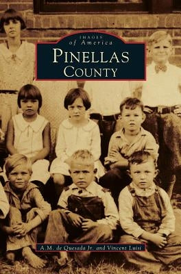 Pinellas County by de Quesada, A. M., Jr.