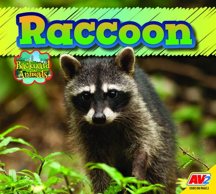 Raccoon by McGill, Jordan