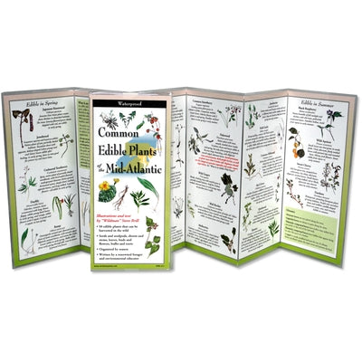 Common Edible Plants of the Mid-Atlantic by Brill, Steve