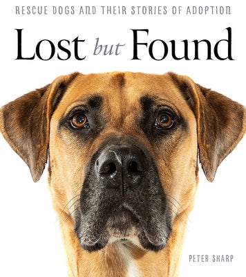 Lost But Found by Sharp, Peter
