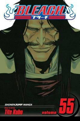 Bleach, Volume 55 by Kubo, Tite