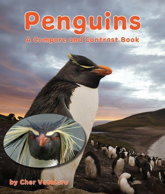 Penguins: A Compare and Contrast Book by Vatalaro, Cher