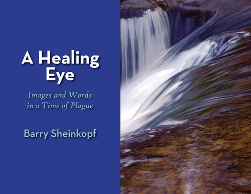 A Healing Eye: Images and Words in a Time of Plague by Sheinkopf, Barry