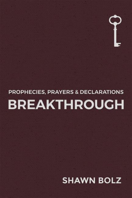 Breakthrough, Volume 1 by Bolz, Shawn