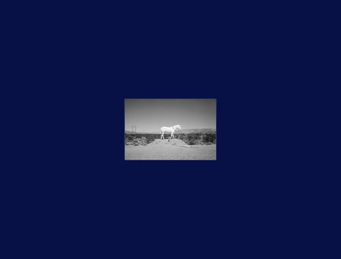 Prophetic Kingdom by Buday, Martin