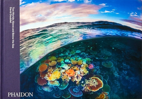 Two Worlds: Above and Below the Sea by Doubilet, David