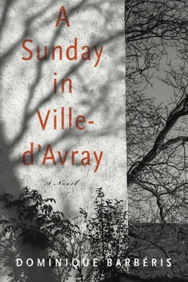 A Sunday in Ville-d'Avray by Barbéris, Dominique