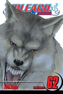 Bleach, Volume 62 by Kubo, Tite