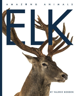 Elk by Bodden, Valerie