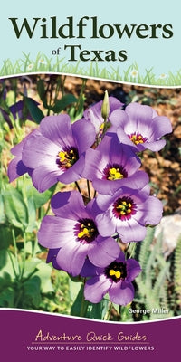 Wildflowers of Texas: Your Way to Easily Identify Wildflowers by Miller, George