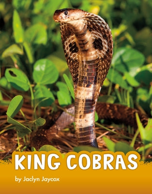 King Cobras by Jaycox, Jaclyn